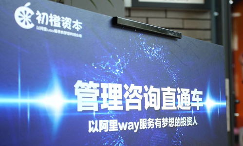 初橙助力投资大咖入局，众创生态百家争鸣