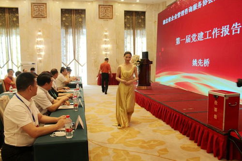 新征程 新跨越——湖北省企业管理咨询服务协会换届会议圆满举行 程鹏当选为会长